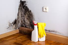 Best Mold Prevention Services  in Whitehorn Cove, OK